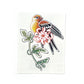 COMING SOON - Noble Bird // Temporary Tattoos by Tattly