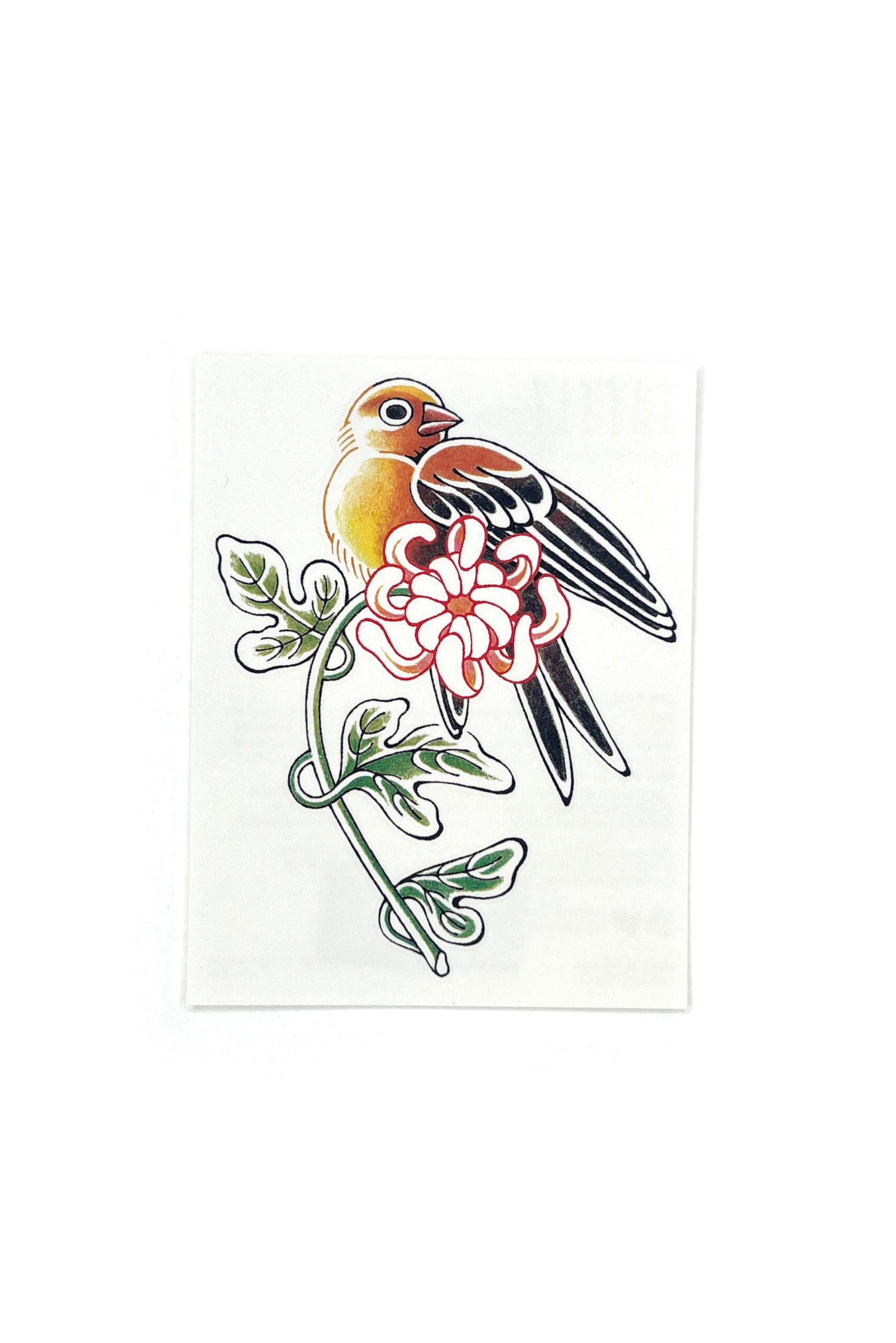 COMING SOON - Noble Bird // Temporary Tattoos by Tattly