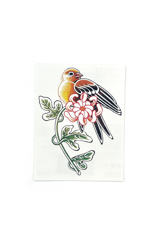 COMING SOON - Noble Bird // Temporary Tattoos by Tattly