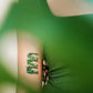 Frog Stack // Temporary Tattoos by Tattly